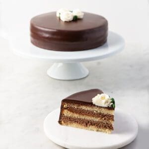 My Most Favorite Food Vanilla Cake w Choc Mousse