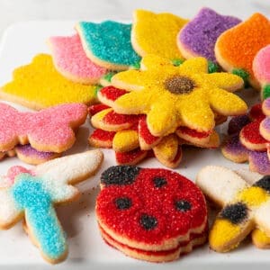 A white plate topped with lots of colorful cookies.