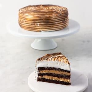 My most favorite Campfire Cake